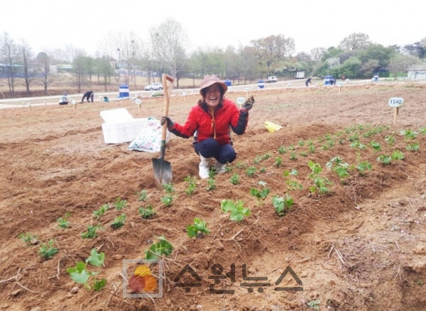 4월 25일 탑동시민농장 텃밭을 찾은 시민