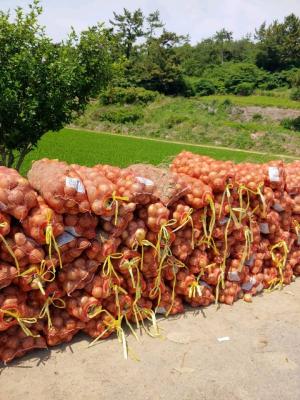 수원시, '무안군 양파 재배 농가 돕기' 11.7t 판매