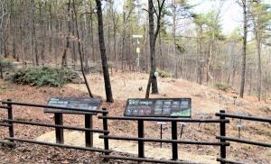 수원시 칠보산 ‘칠보치마’서식지, ‘야생생물 보호구역’지정