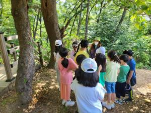 용인 마북초 전교생이 참여하는‘숲 체험’활동 실시
